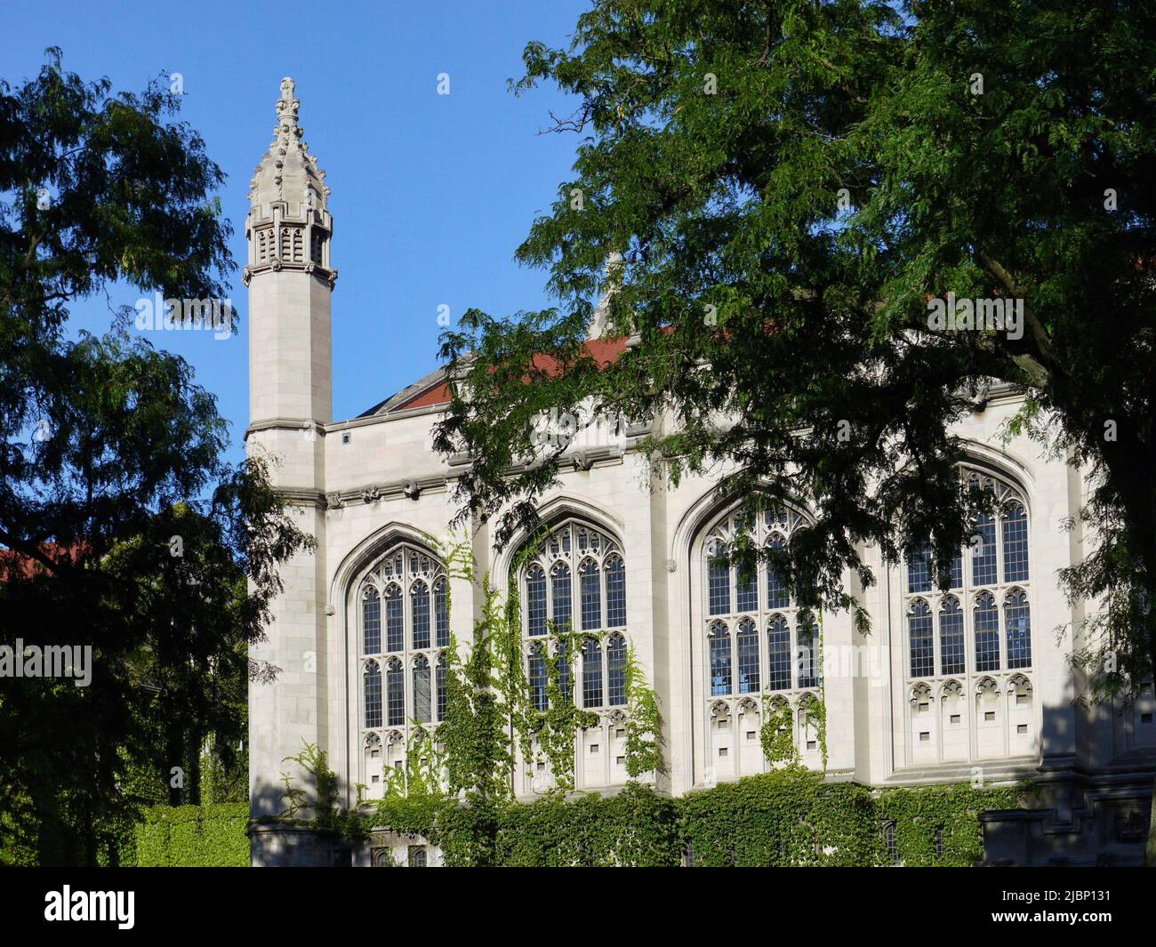Edificio in pietra in stile gotico coperto di edera, presso l'Università di Chicago Foto Stock