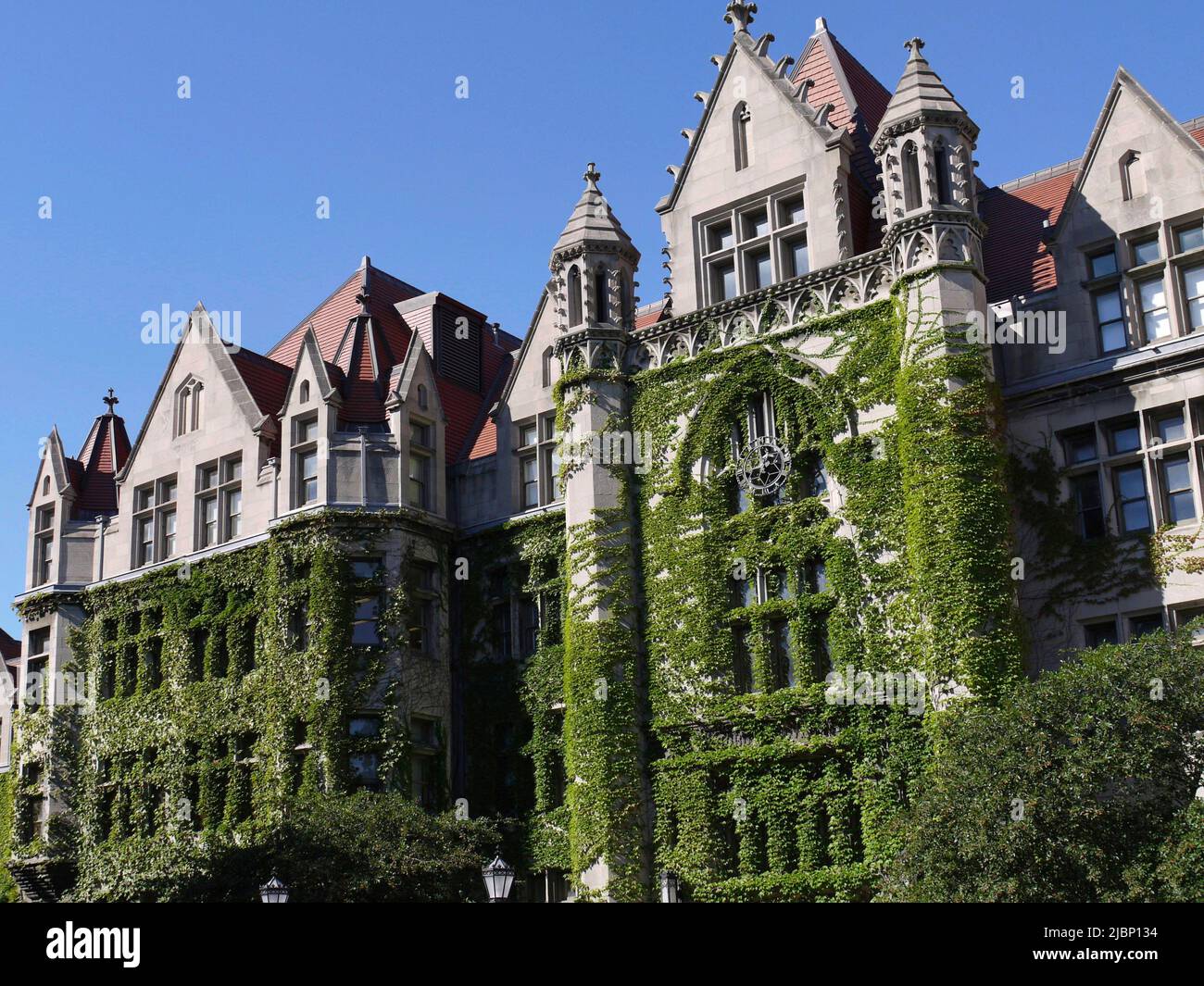 Edificio in pietra in stile gotico coperto di edera, presso l'Università di Chicago Foto Stock