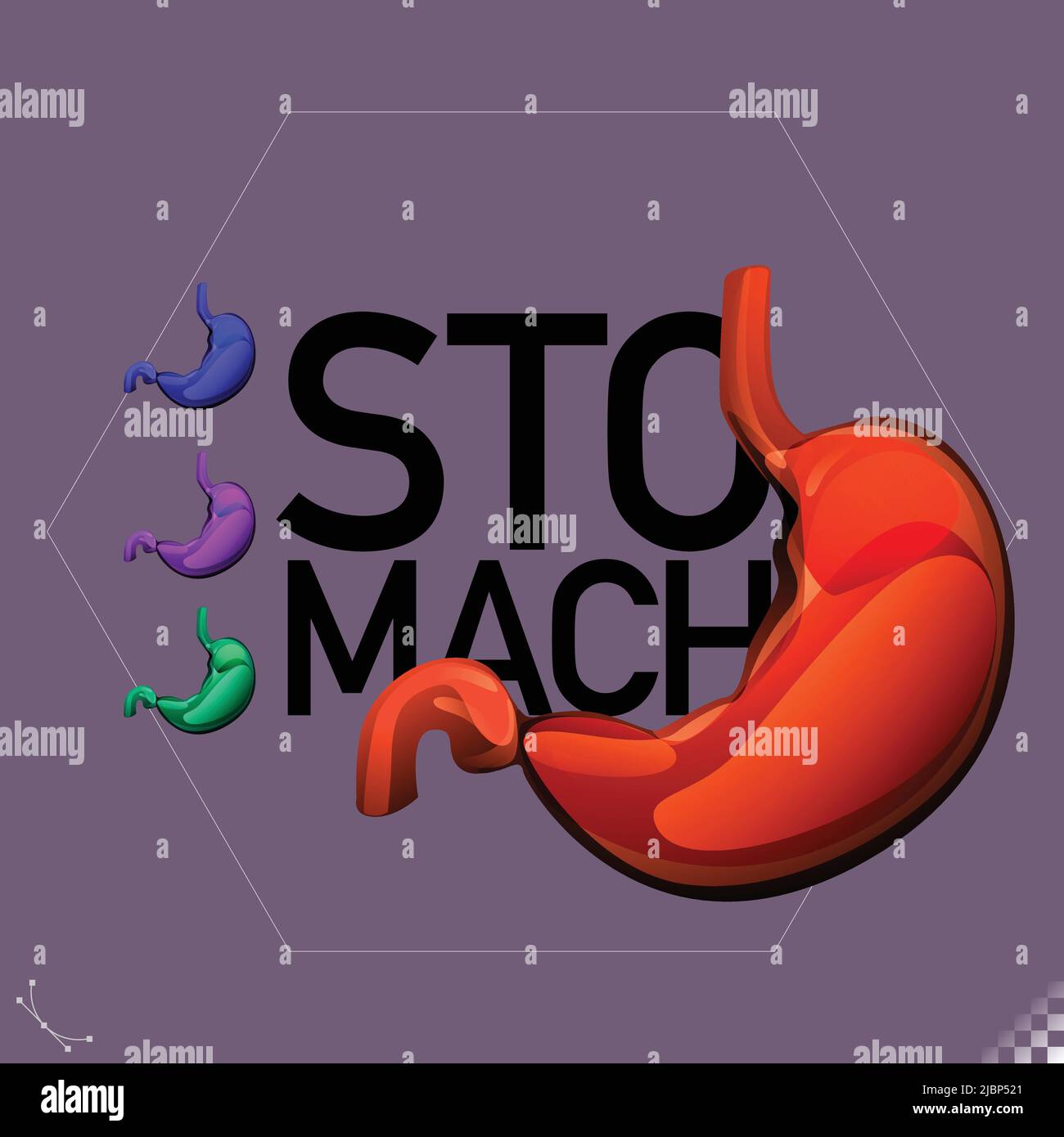 Moderno bello stilizzato monotono umano stomaco organi simboli e icone - parte di un insieme Illustrazione Vettoriale