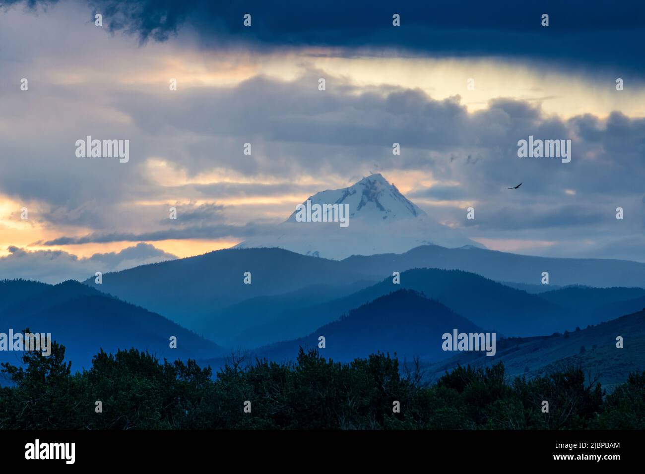 USA, Oregon, cascate di Tygh Valley White River, state Park, Mount Hood Foto Stock