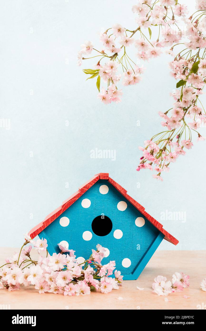 Birdhouse di primavera Still Life Foto Stock