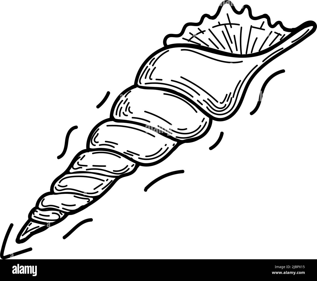Seashell, un doodle disegnato a mano in stile schizzo. Elementi decorativi. Sfondo bianco. Isolato. Creature marine. Estate. Oceano. Design piatto. Vettore semplice illust Illustrazione Vettoriale