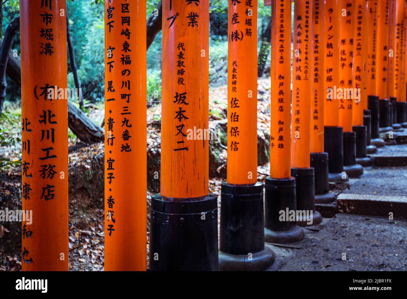 Via dalle migliaia di Vermilion grandi porte Torii Foto Stock