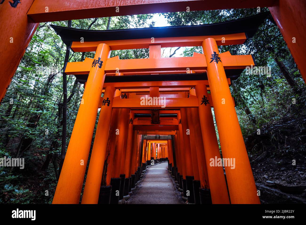 Via dalle migliaia di Vermilion grandi porte Torii Foto Stock