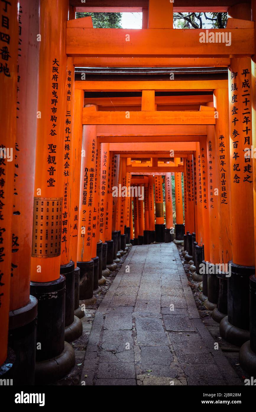 Via dalle migliaia di Vermilion grandi porte Torii Foto Stock