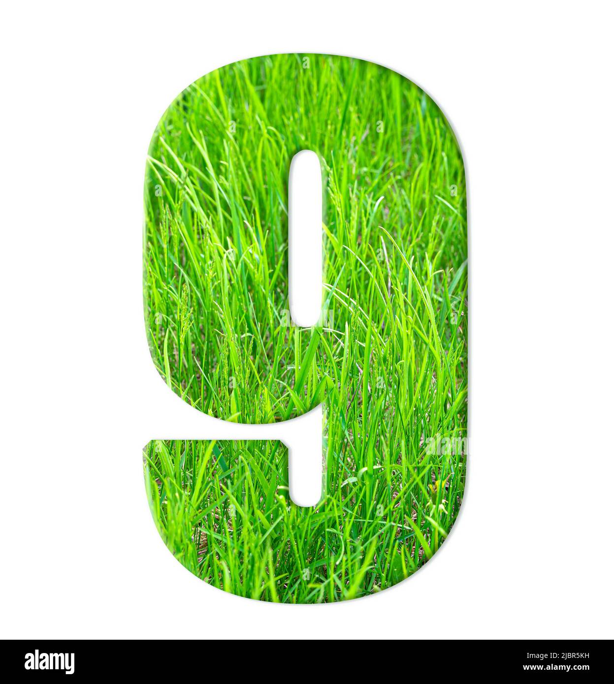 Nove con la texture di verde succosa erba isolato su uno sfondo bianco. Numeri. Foto Stock
