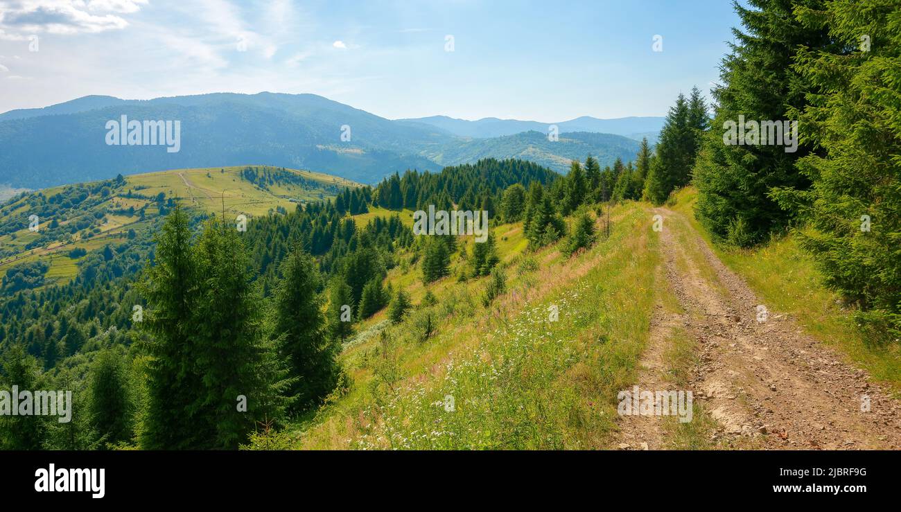 paesaggio di campagna carpazia a mezzogiorno d'altura. bellissimo paesaggio di montagna estivo in una giornata di sole. colline boscose e prati erbosi sotto un cielo blu Foto Stock