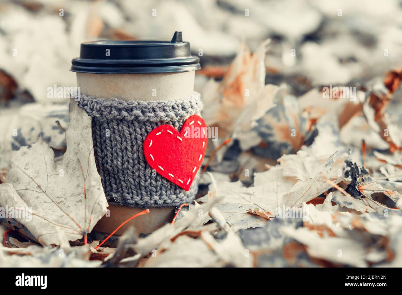 Un accogliente bicchiere da caffè di carta solitaria con un cuore lavorato a maglia nel fogliame autunnale. Concetto di solitudine o depressione stagionale Foto Stock