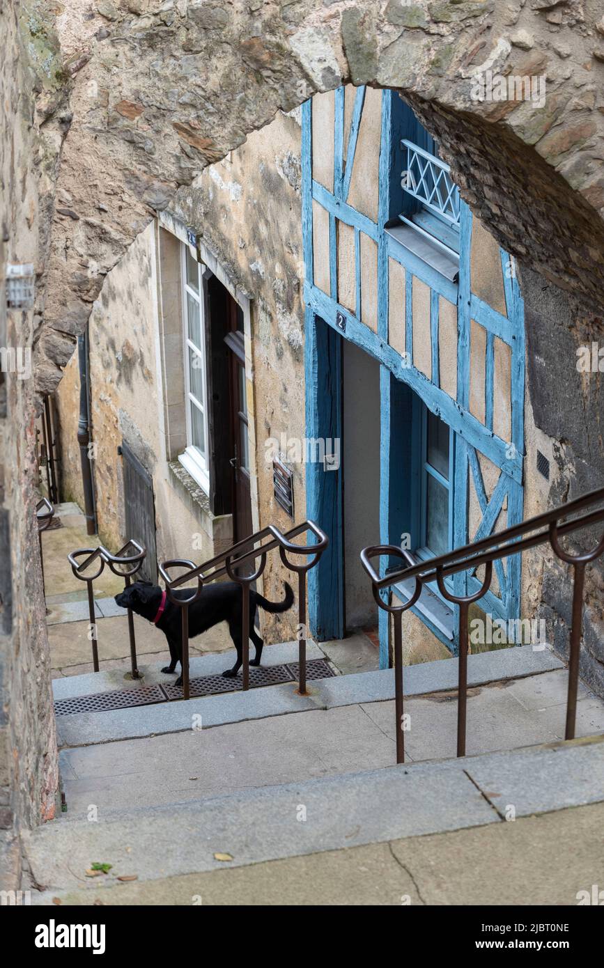 Francia, Sarthe (72), le Mans, la città Plantagenet, scala della grande posterna Foto Stock