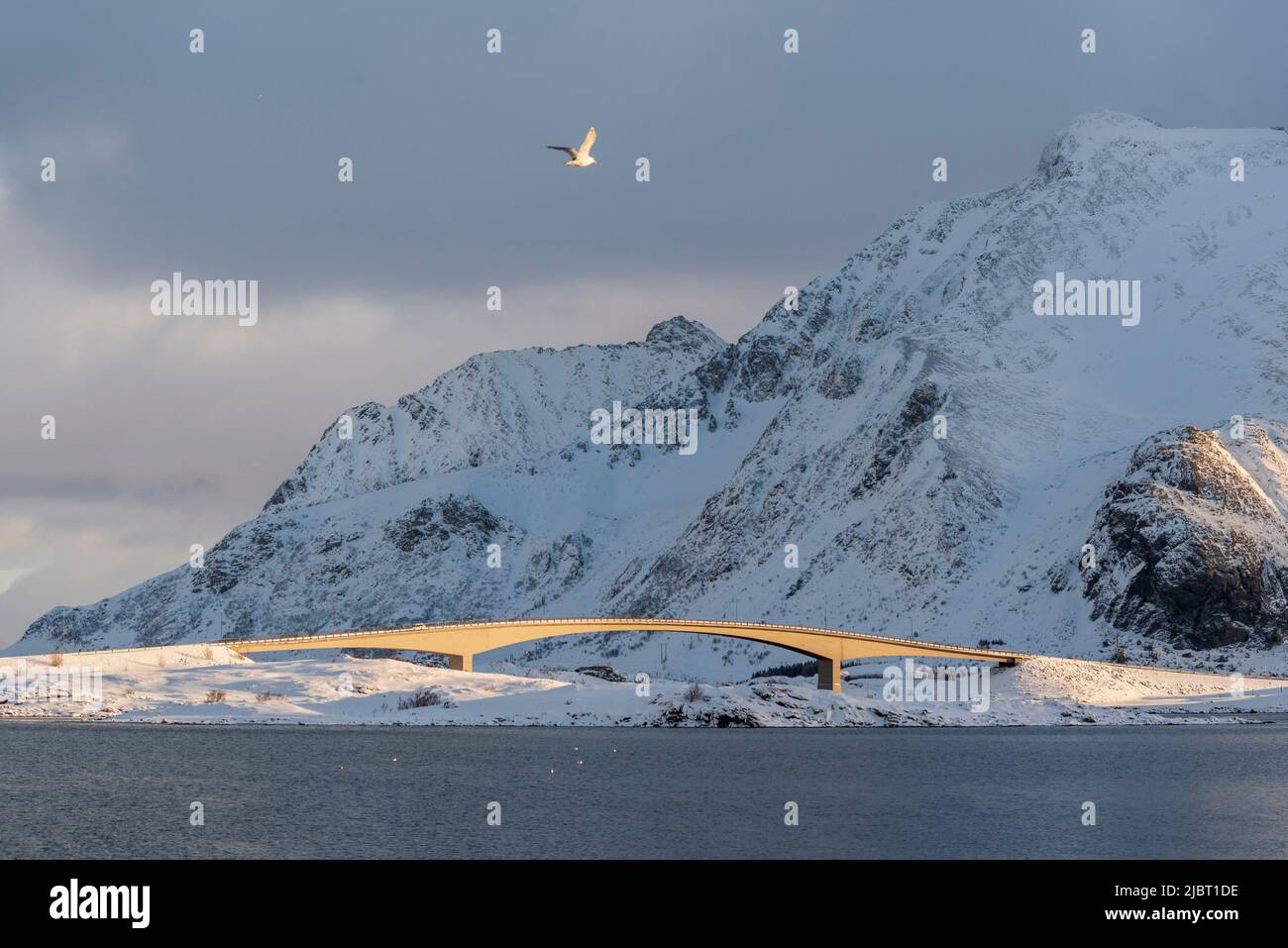 Norvegia, Nordland County, Isole Lofoten, Fredvang, bridge Foto Stock