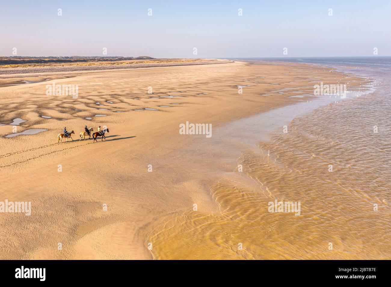 Francia, Somme, le Hourdel, tre cavalieri che camminano con i loro cavalli sulle enormi banchine di sabbia scoperte dalla marea (vista aerea) Foto Stock