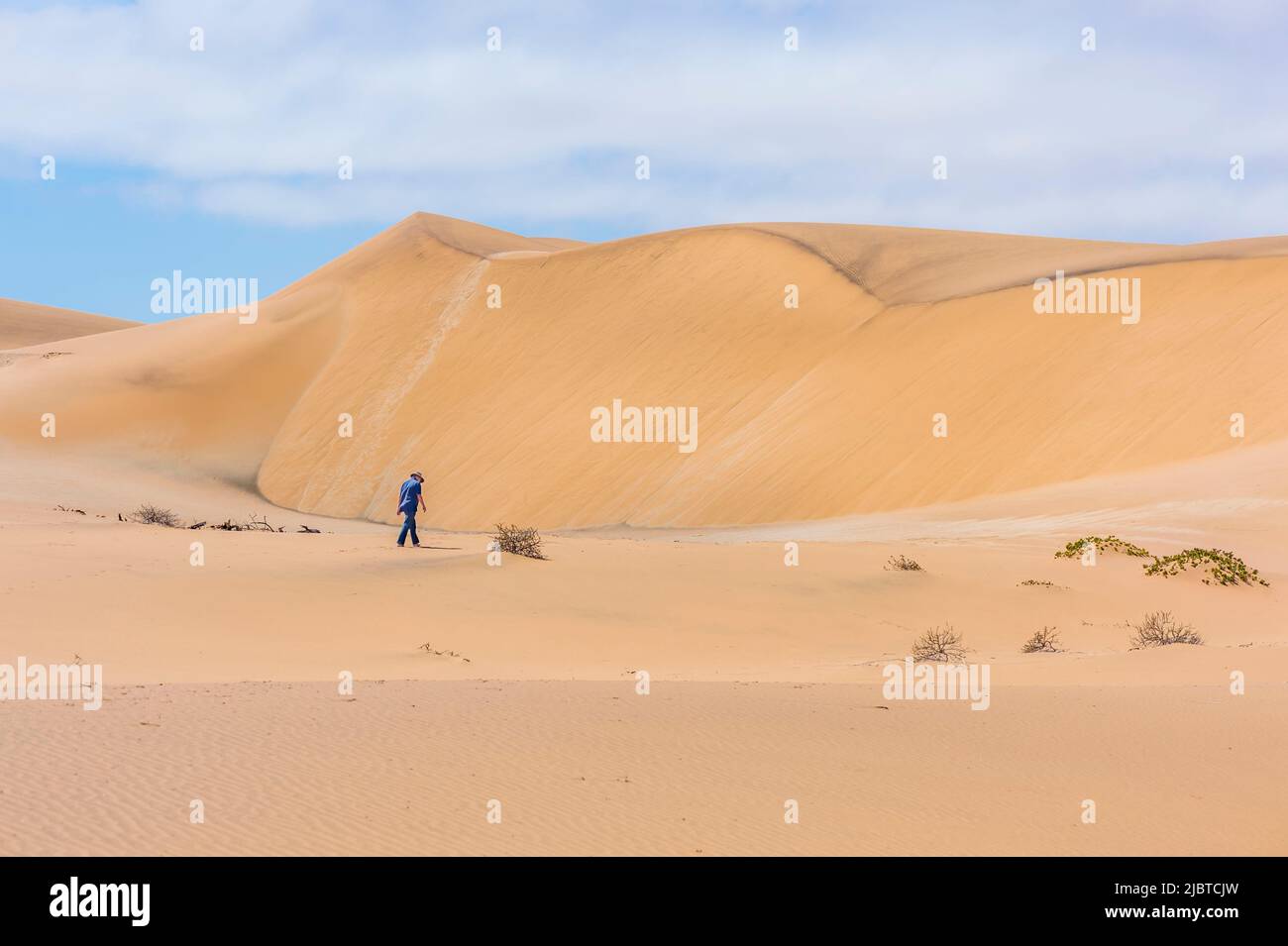 Namibia, Skeleton Coast, Erongo regione, Swakopmund, Namib deserto Foto Stock