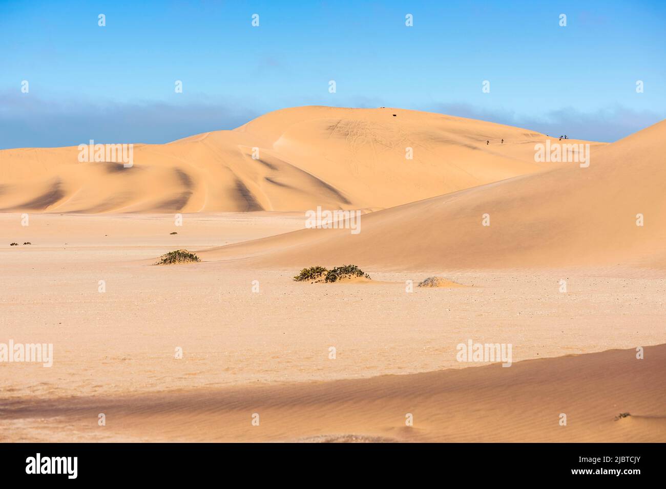 Namibia, Skeleton Coast, Erongo regione, Swakopmund, Namib deserto Foto Stock