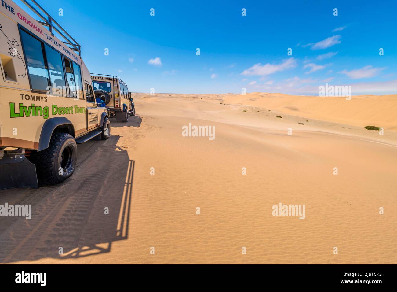 Namibia, Skeleton Coast, regione di Erongo, Swakopmund, Namib Desert, safari naturalista Foto Stock