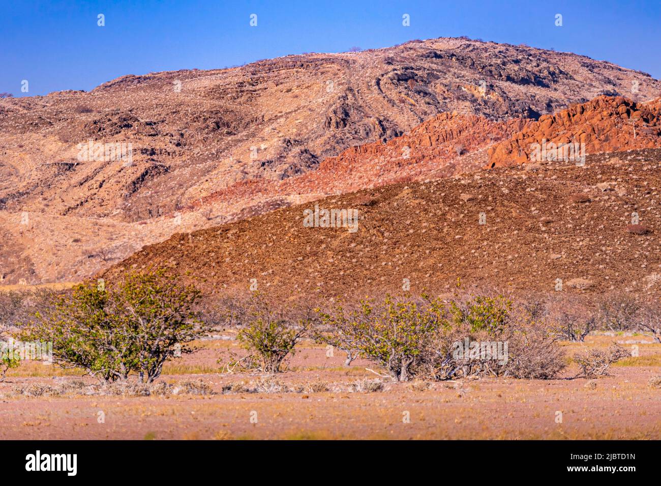 Namibia, regione di Kunene, Damaraland, Khorixas, paesaggio di deserto minerale Foto Stock