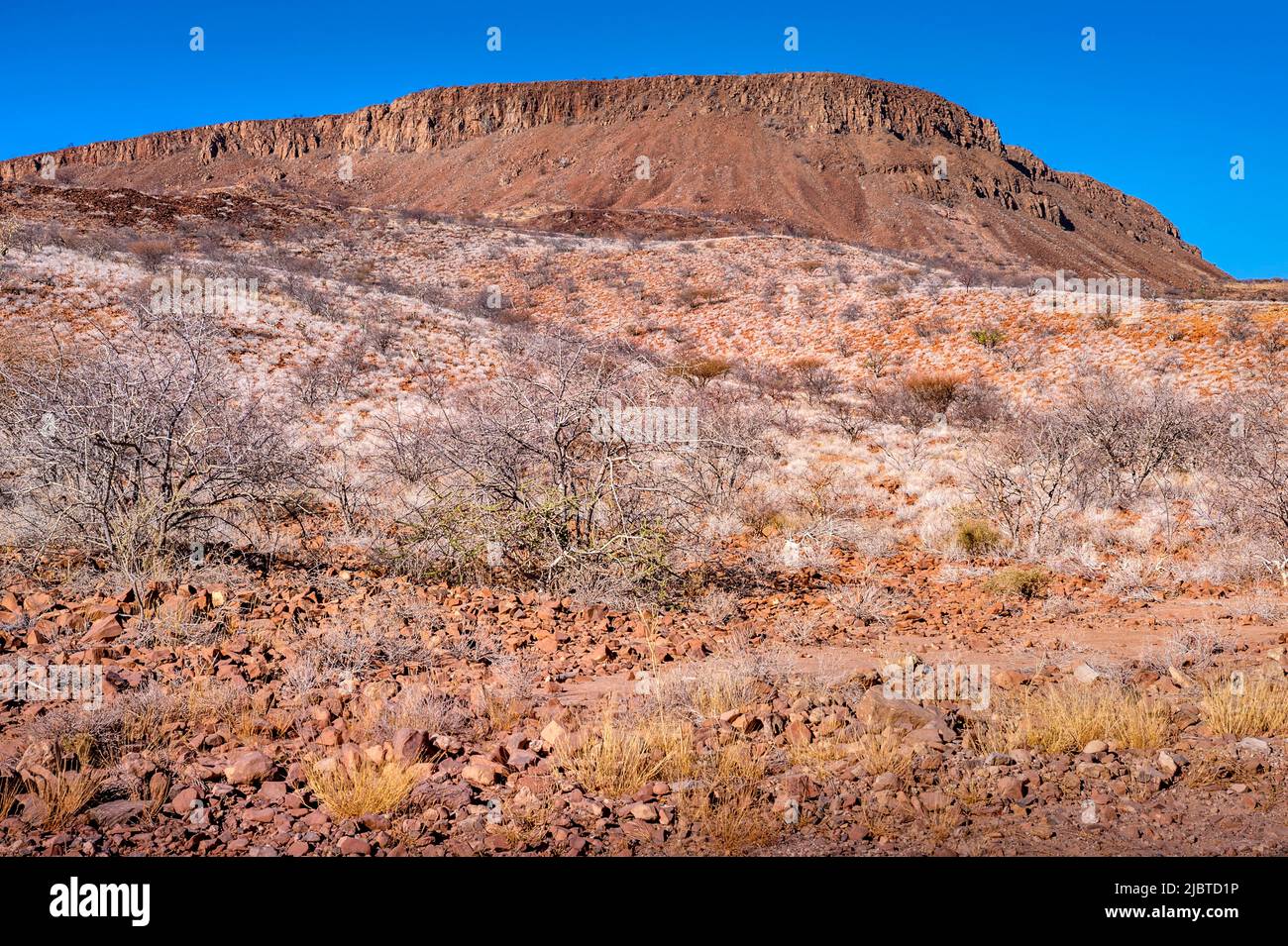 Namibia, regione di Kunene, Damaraland, Khorixas, paesaggio di deserto minerale Foto Stock