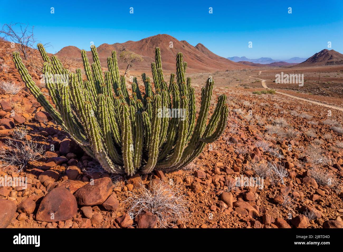 Namibia, regione di Kunene, Damaraland, Bergsig, paesaggio desertico Foto Stock