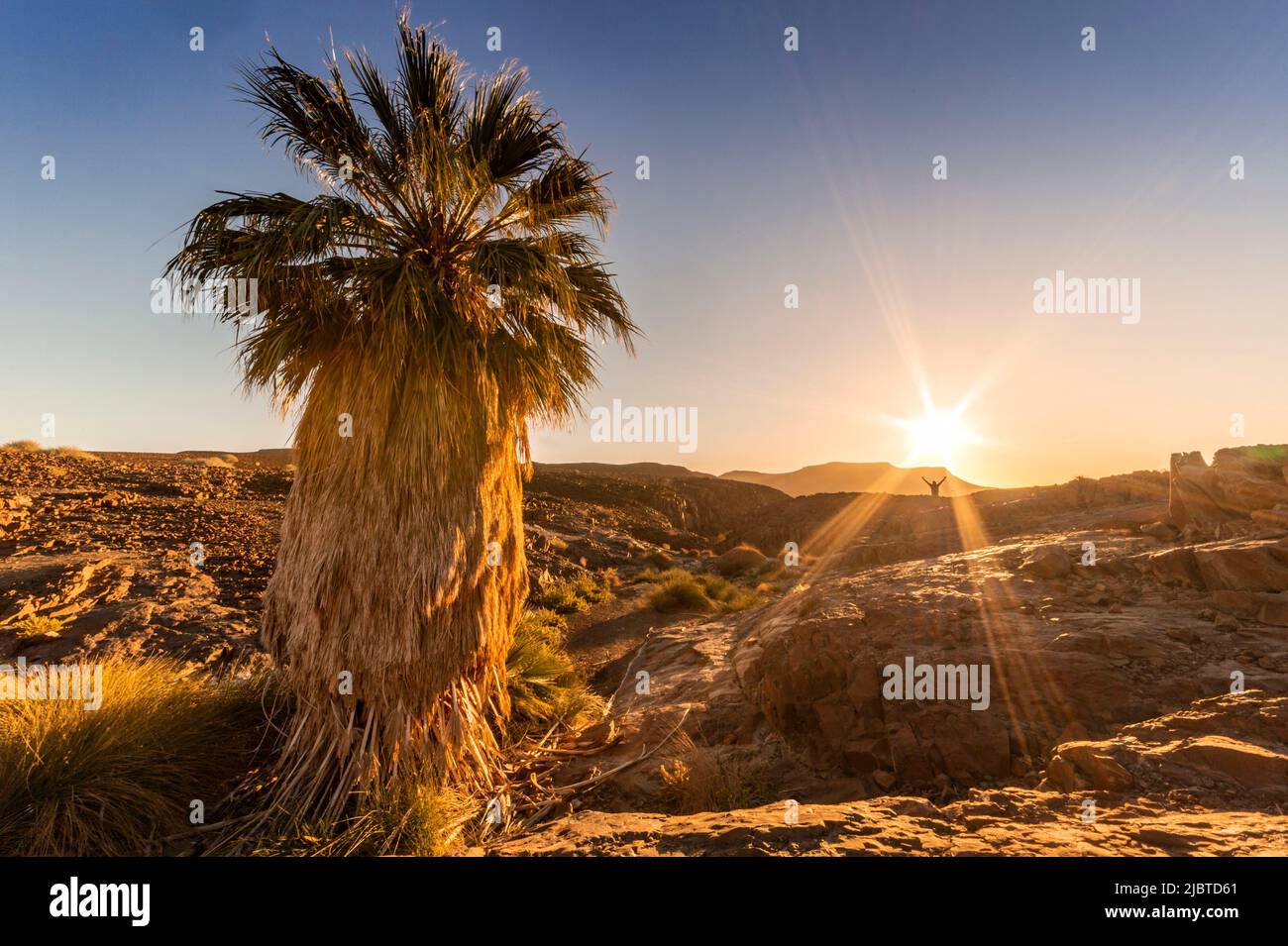 Namibia, regione di Kunene, Damaraland, Bergsig, alba sul deserto Foto Stock