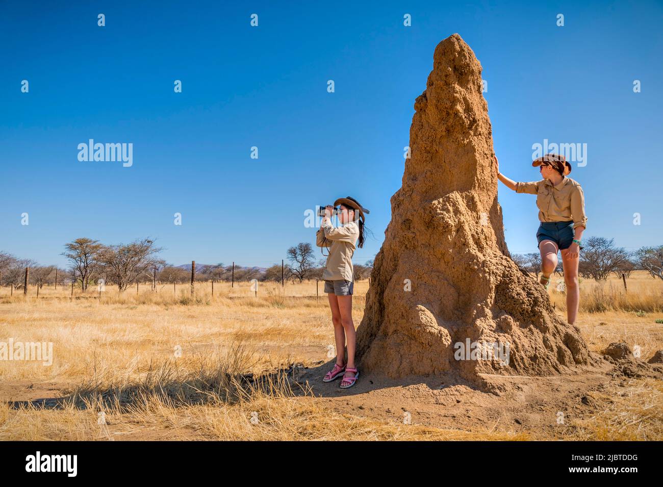 Namibia, regione di Otjozondjupa, distretto di Otjiwarongo, Kalkfeld, 2 bambini osservano il cespuglio intorno ad un tumulo di termiti Foto Stock