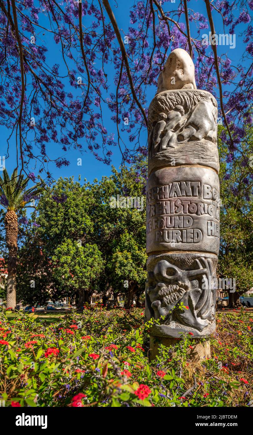 Namibia, regione di Khomas, Windhoek, parco zoologico, colonna dell'elefante (Dörte BERNER) Foto Stock
