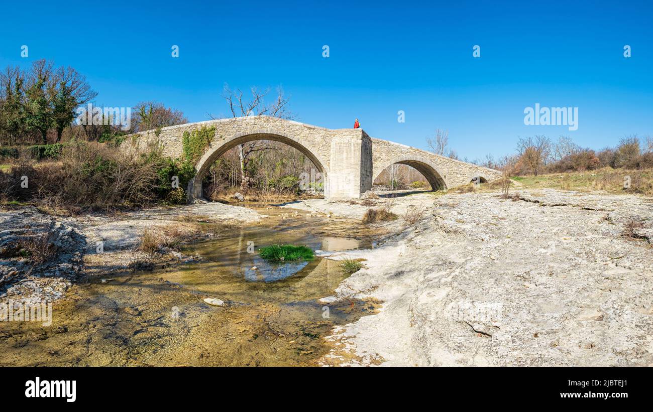 Francia, Alpes-de-Haute-Provence, Mane, ponte romano del 12th secolo sul fiume Laye Foto Stock