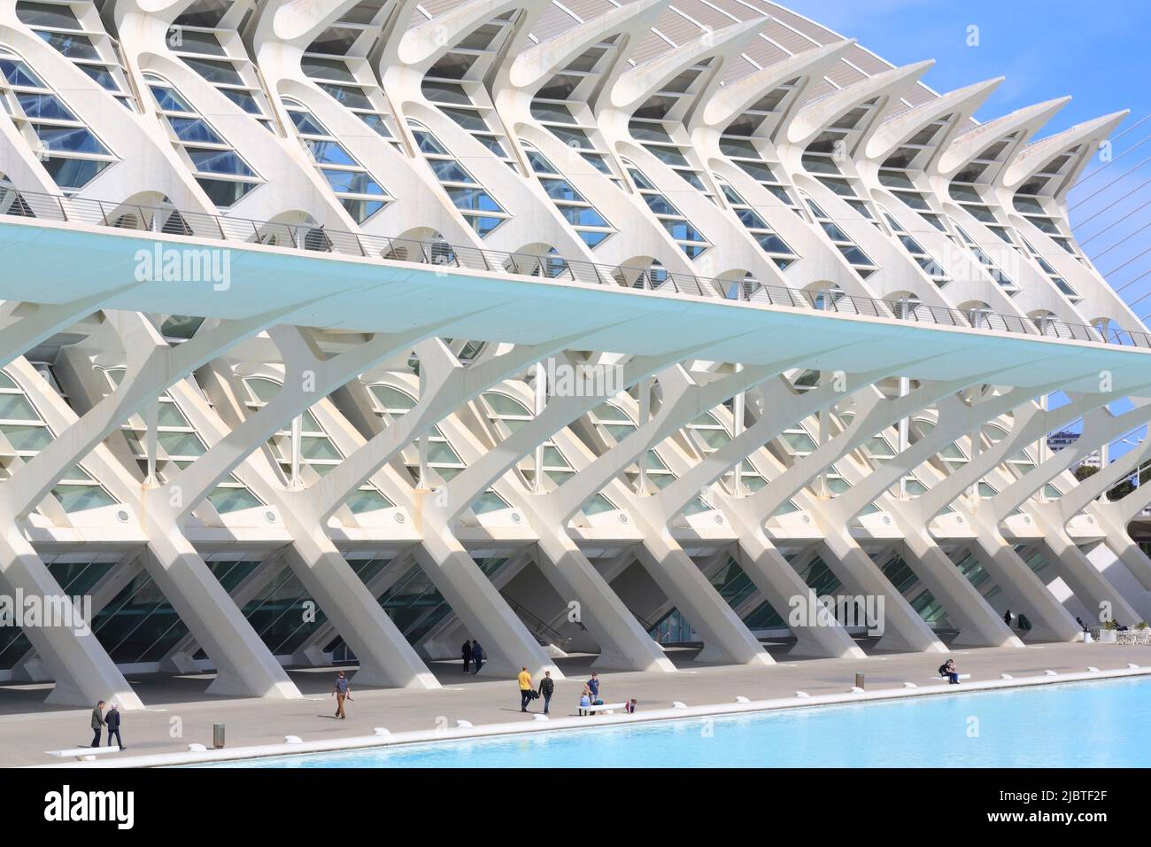 Spagna, Valencia, Città delle Arti e delle Scienze (Ciudad de las Artes y las Ciencias), complesso culturale progettato dall'architetto Santiago Calatrava, vista del Museo della Scienza di Príncipe Felipe (museo delle scienze naturali) Foto Stock