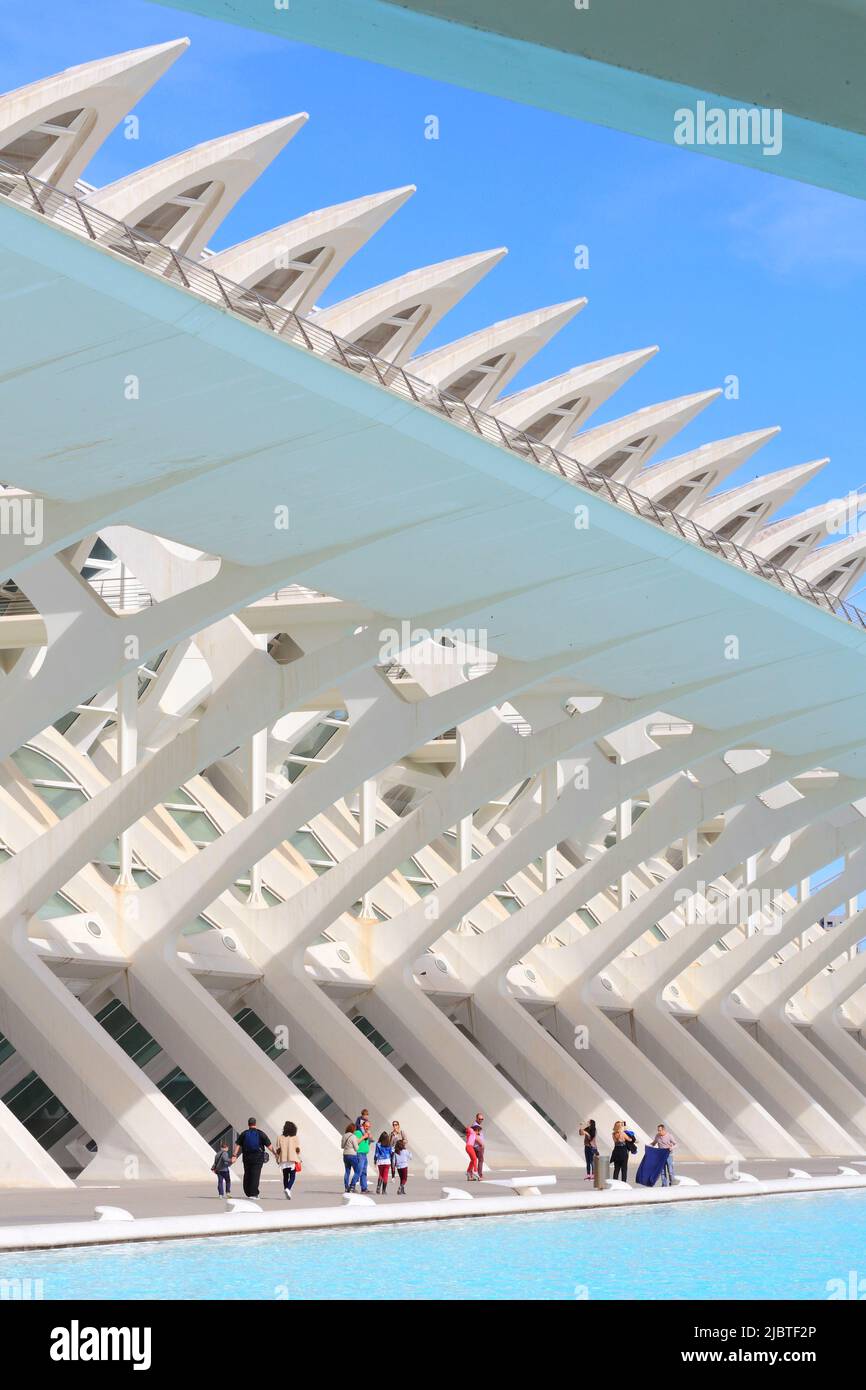 Spagna, Valencia, Città delle Arti e delle Scienze (Ciudad de las Artes y las Ciencias), complesso culturale progettato dall'architetto Santiago Calatrava, vista del Museo della Scienza di Príncipe Felipe (museo delle scienze naturali) Foto Stock