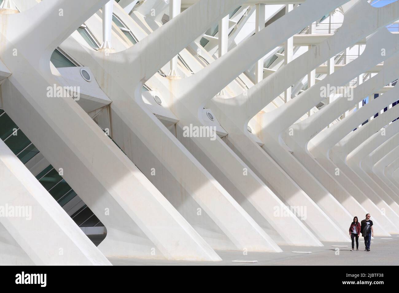 Spagna, Valencia, Città delle Arti e delle Scienze (Ciudad de las Artes y las Ciencias), complesso culturale progettato dall'architetto Santiago Calatrava, vista del Museo della Scienza di Príncipe Felipe (museo delle scienze naturali) Foto Stock