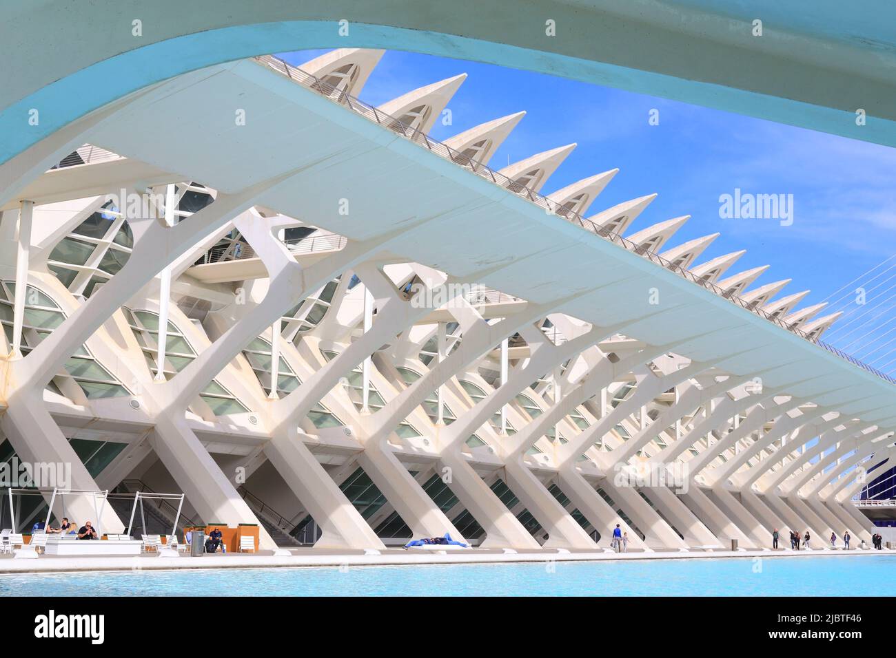 Spagna, Valencia, Città delle Arti e delle Scienze (Ciudad de las Artes y las Ciencias), complesso culturale progettato dall'architetto Santiago Calatrava, vista del Museo della Scienza di Príncipe Felipe (museo delle scienze naturali) Foto Stock