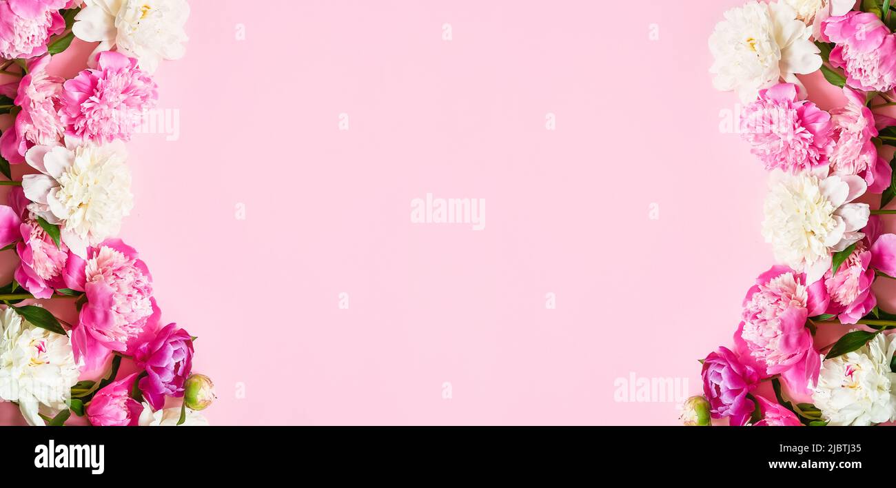 Fiori di peonia rosa e bianca su sfondo rosa. Banner del concetto di Giornata Internazionale delle Donne, compleanno, Giornata delle madri. Spazio di copia per il testo Foto Stock