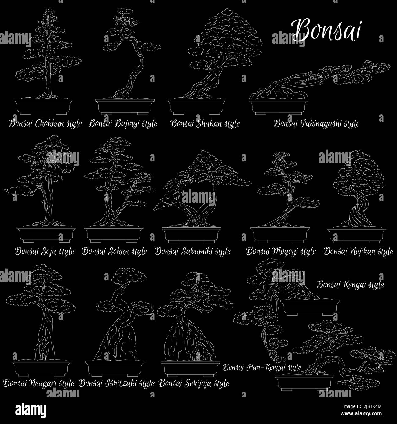 Bonsai. Stili diversi di alberi in miniatura. L'arte di coltivare piante nane. Illustrazione Vettoriale