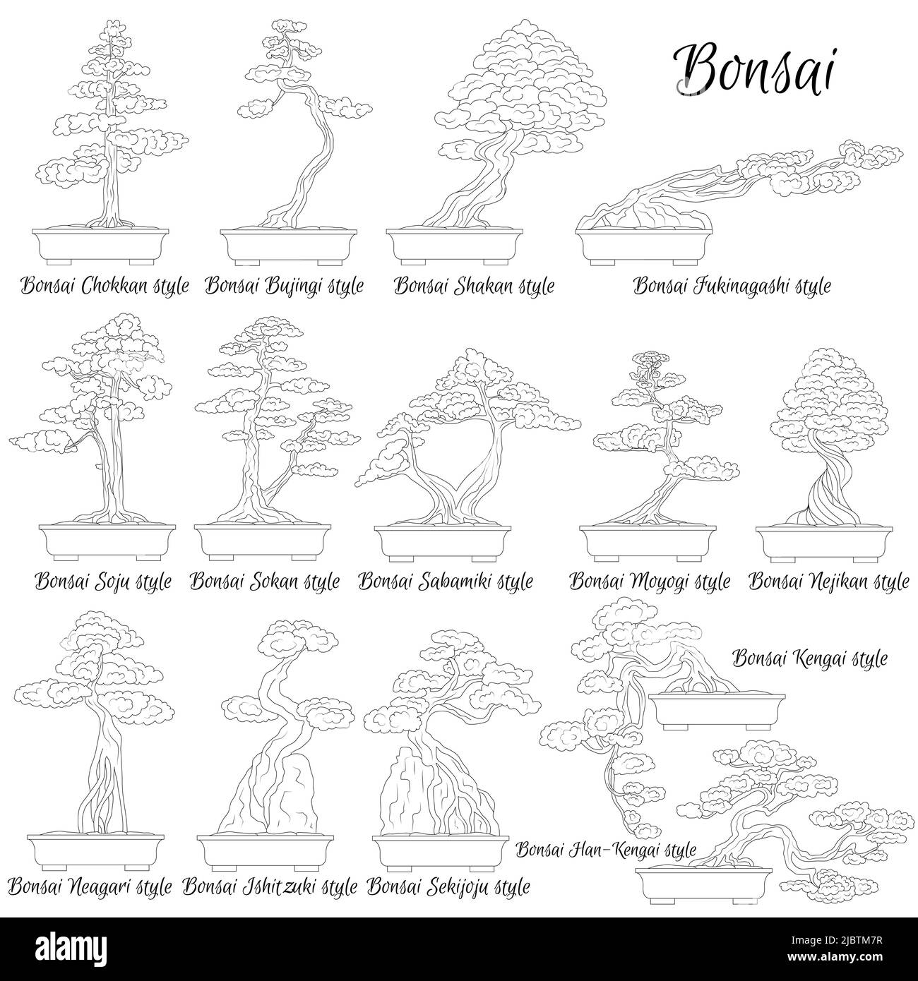Bonsai. Stili diversi di alberi in miniatura. L'arte di coltivare piante nane. Illustrazione Vettoriale