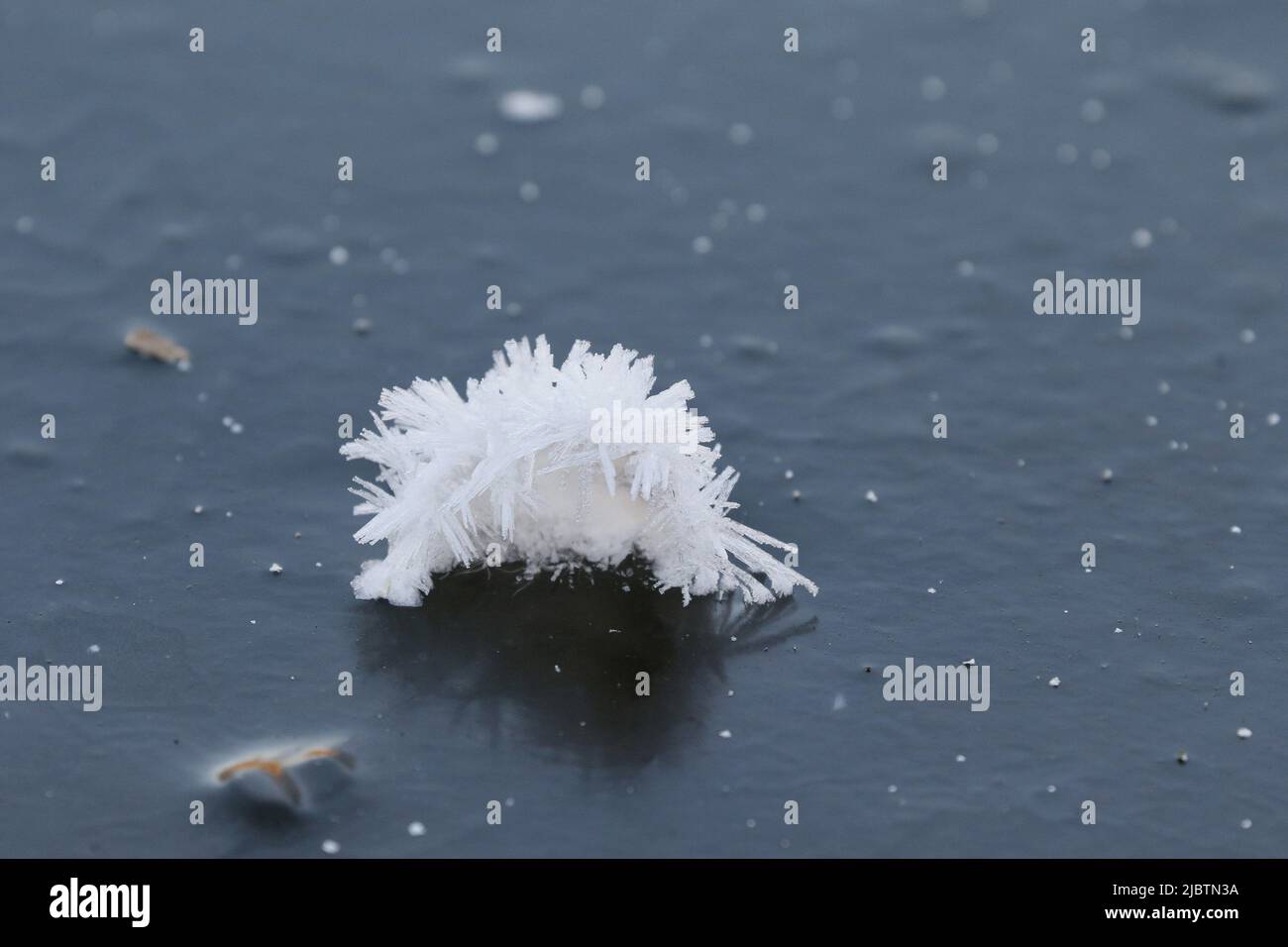 Formazione di cristalli di ghiaccio su foglio di ghiaccio Foto Stock