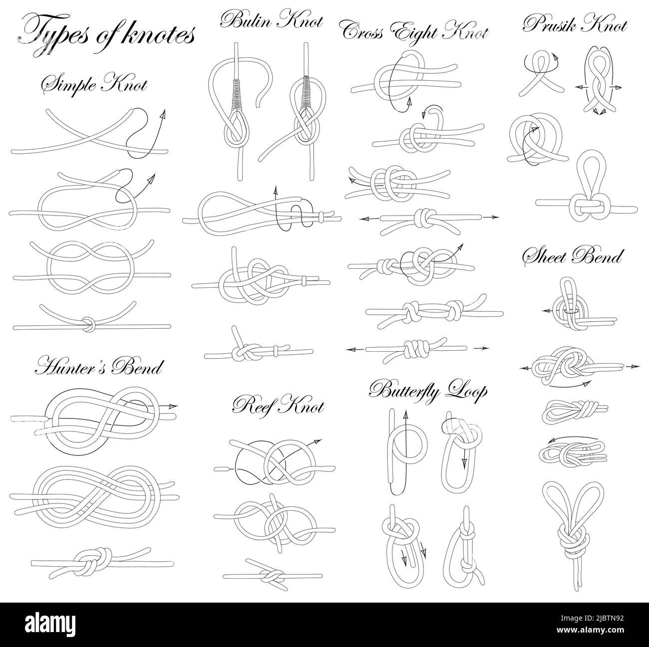 Tipi di nodi. Illustrazione della sequenza di nodi di legatura di varia complessità. Illustrazione Vettoriale