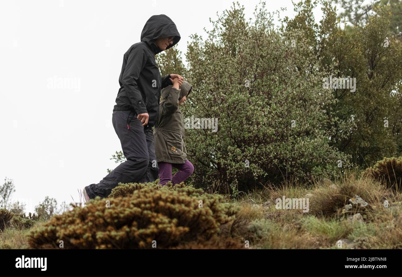 Fuoco selettivo sparato di madre e bambina camminando mano a mano sul campo in tempo di nebbia. Foto Stock