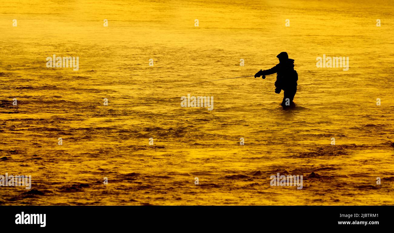 Silhouette di pesca Flyfishing Rod reel in fiume con luce solare dorata in acqua veloce mattina presto Foto Stock