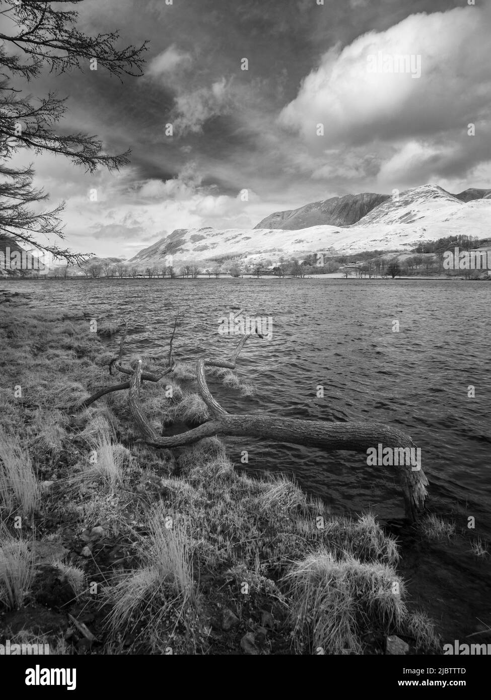 Immagine a infrarossi della costa sud-occidentale di Buttermere nel Lake District National Park, Cumbria, Inghilterra. Foto Stock