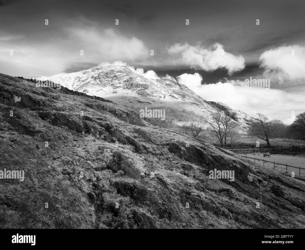 Immagine infrarossa di High Snockrigg sopra Buttermere nel Lake District, Cumbria, Inghilterra Foto Stock