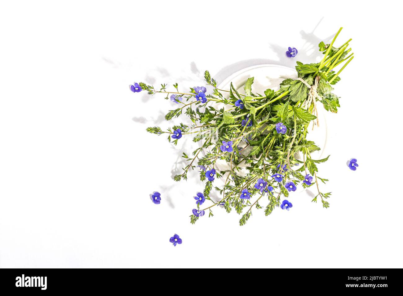 Blu dimenticami non fiori bouquet su stand alla moda isolato su uno sfondo bianco. Springtime Concept, elemento floreale per design festive card, un duro Foto Stock