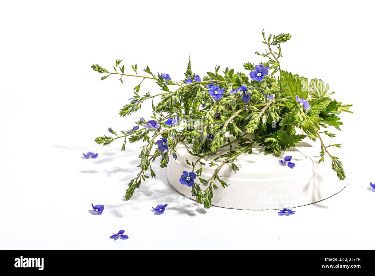 Blu dimenticami non fiori bouquet su stand alla moda isolato su uno sfondo bianco. Springtime Concept, elemento floreale per design festive card, un duro Foto Stock