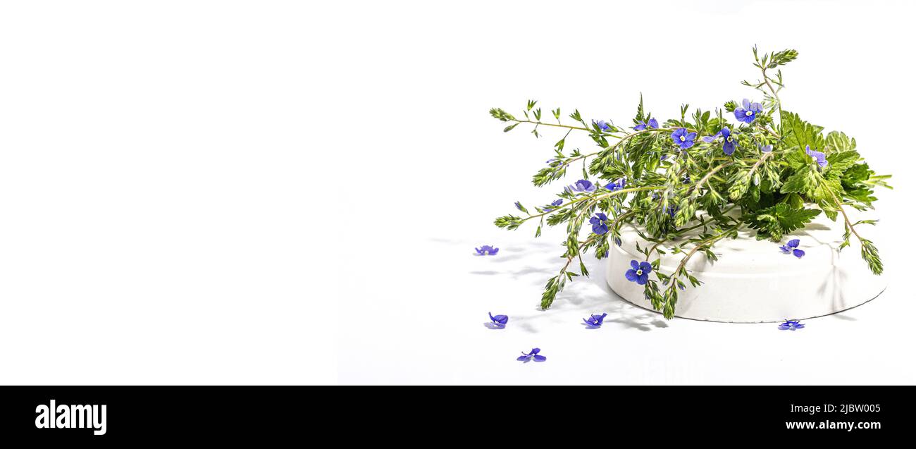 Blu dimenticami non fiori bouquet su stand alla moda isolato su uno sfondo bianco. Springtime Concept, elemento floreale per design festive card, un duro Foto Stock