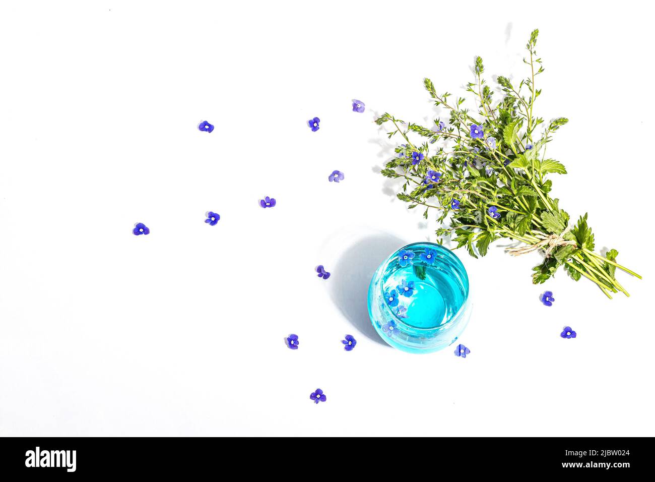 Acqua tonica fredda e blu mi dimenticano non fiori bouquet isolato su uno sfondo bianco. Concetto di primavera, elemento floreale, una luce dura, ombra scura, Foto Stock
