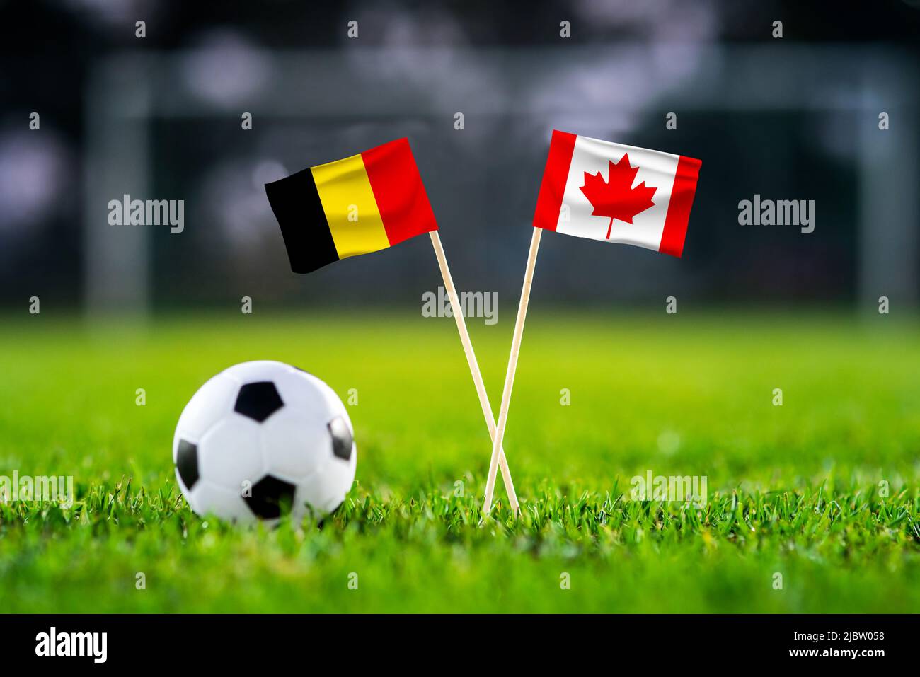 Belgio vs Canada, Ahmad Bin Ali, carta da parati per partite di calcio, bandiere nazionali fatte a mano e pallone da calcio su erba verde. Stadio di calcio in background. B Foto Stock