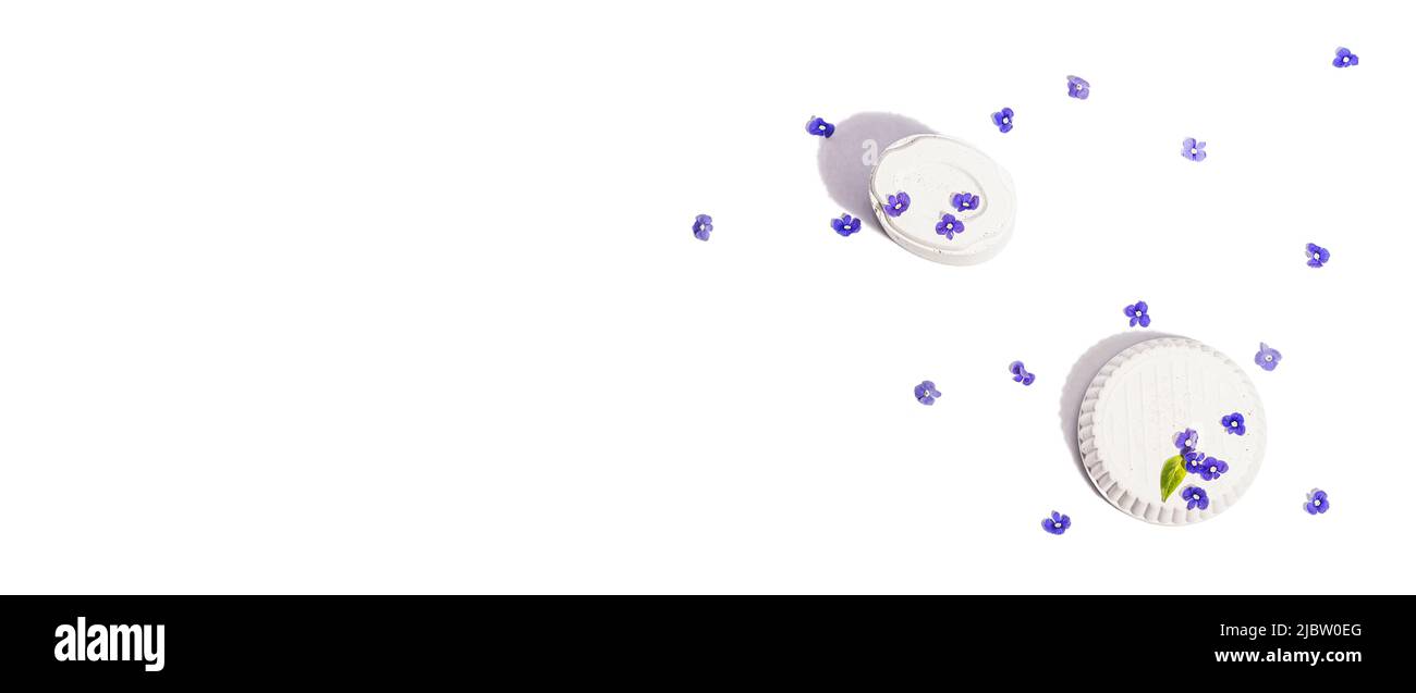 Trendy si leva con blu dimentica di me non fiori isolato su uno sfondo bianco. Concetto di primavera, elementi floreali, una luce dura, ombra scura, selectiv Foto Stock