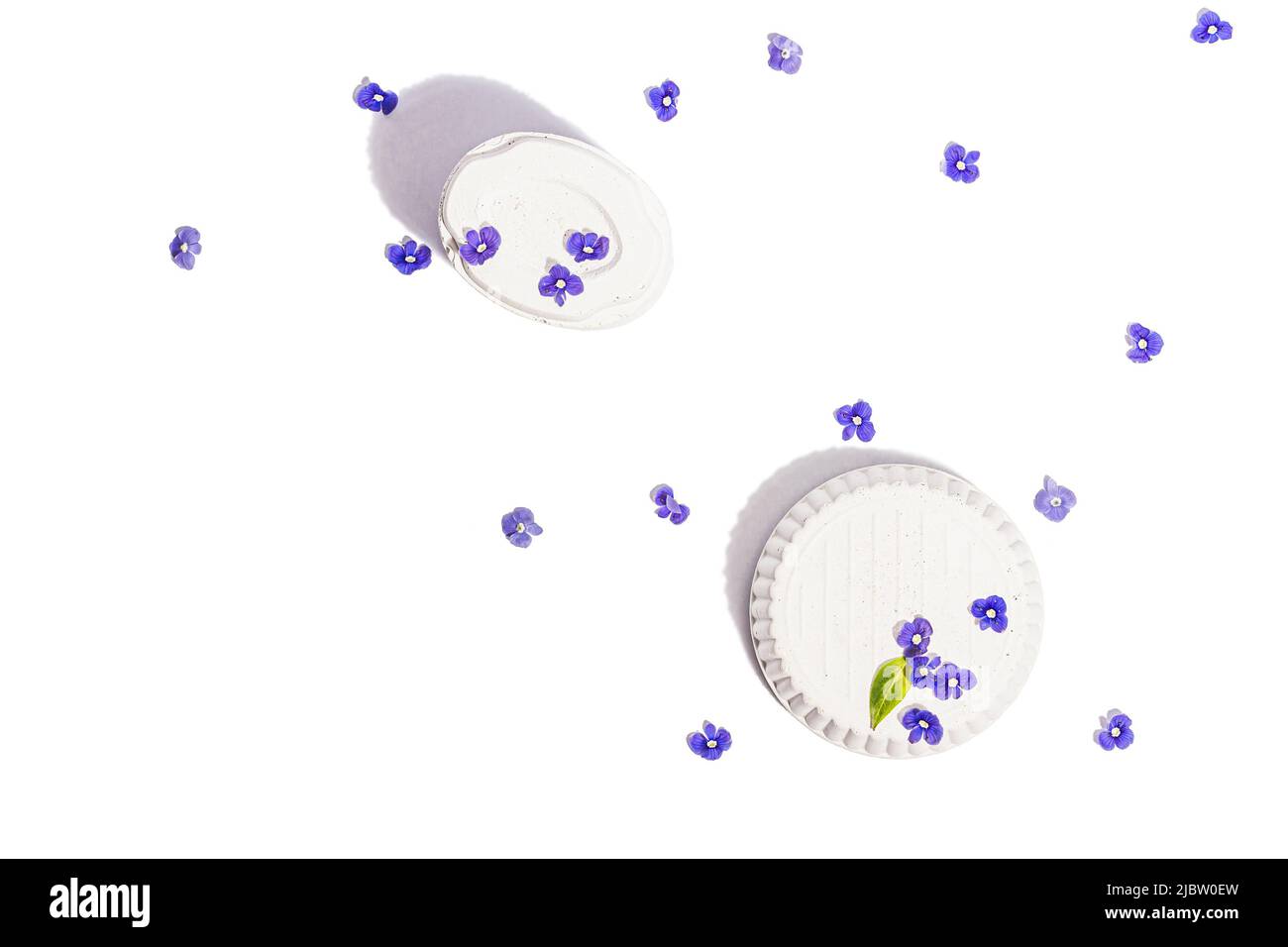 Trendy si leva con blu dimentica di me non fiori isolato su uno sfondo bianco. Concetto di primavera, elementi floreali, una luce dura, ombra scura, selectiv Foto Stock