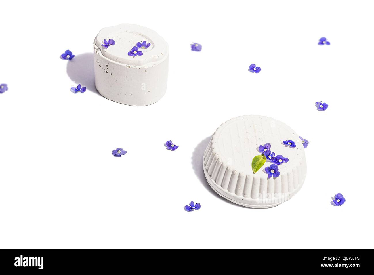 Trendy si leva con blu dimentica di me non fiori isolato su uno sfondo bianco. Concetto di primavera, elementi floreali, una luce dura, ombra scura, selectiv Foto Stock