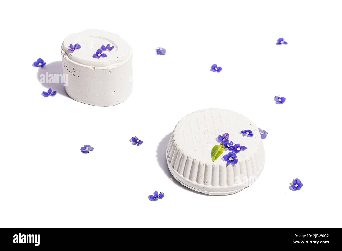 Trendy si leva con blu dimentica di me non fiori isolato su uno sfondo bianco. Concetto di primavera, elementi floreali, una luce dura, ombra scura, selectiv Foto Stock