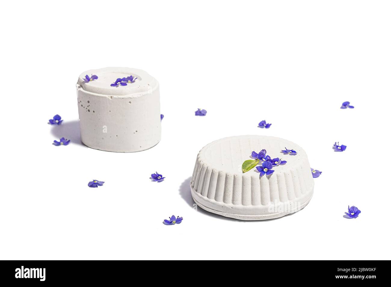 Trendy si leva con blu dimentica di me non fiori isolato su uno sfondo bianco. Concetto di primavera, elementi floreali, una luce dura, ombra scura, selectiv Foto Stock