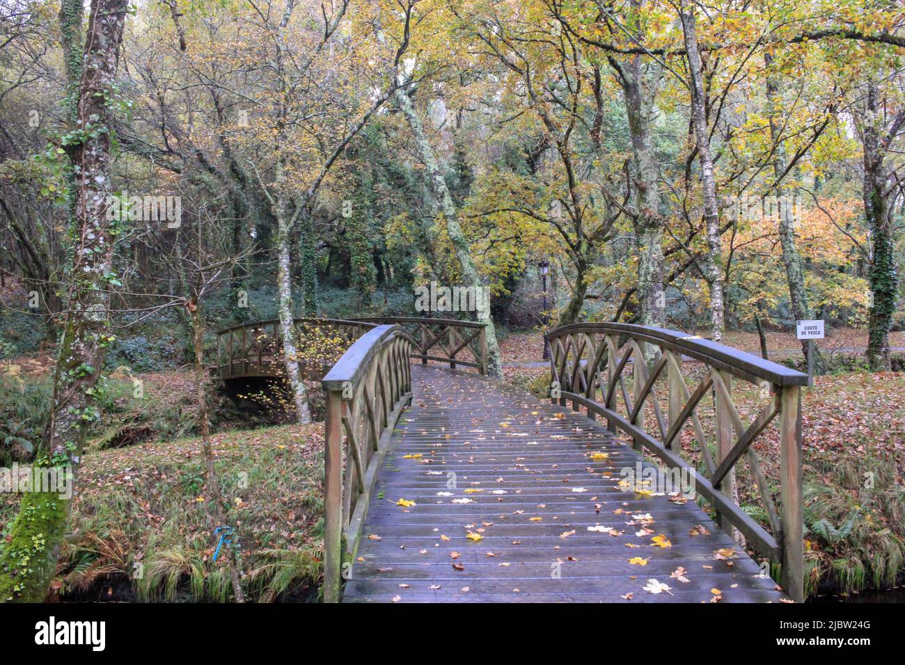 passeggiare nella natura durante l'autunno è sempre un'avventura colorata Foto Stock