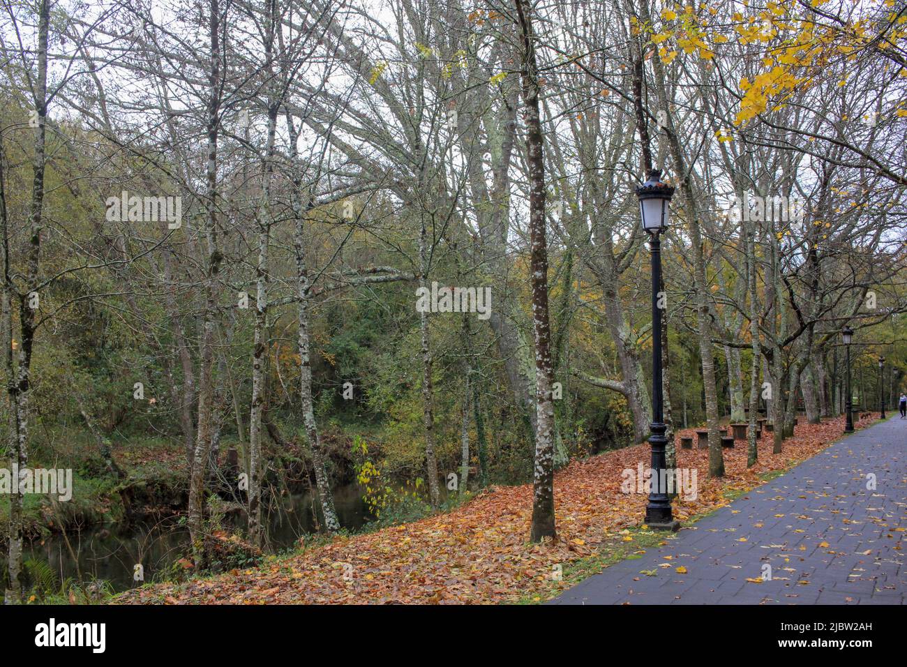 i colori sorprendenti della natura in autunno Foto Stock